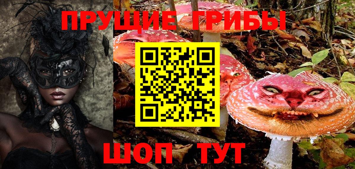 Галлюциногенные грибы прущие грибы Аша