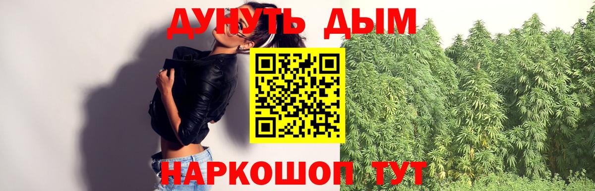 Марихуана гибрид Аша